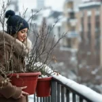 Featured image placeholder 16:9